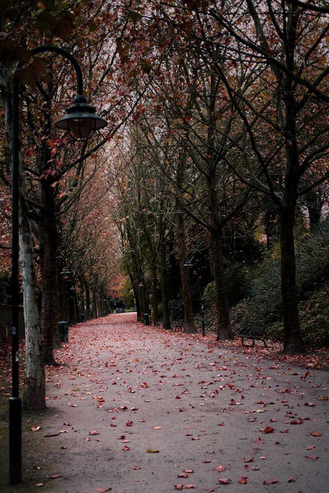 Mudanzas a Lovaina